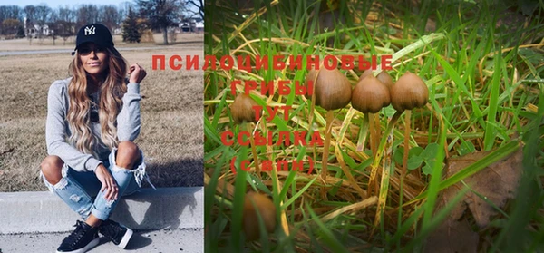 ешки Балахна